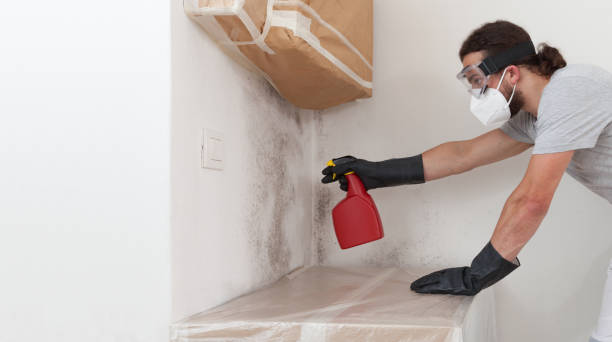 Professional Crawl Space Mold Removal technician working in Fulton, NY
